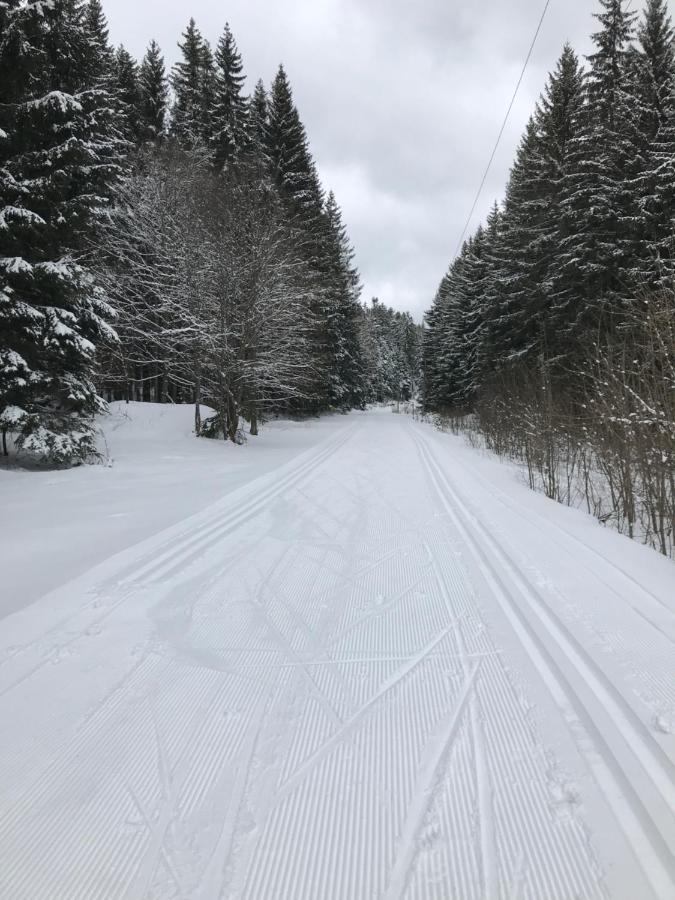 Sumava * Nove Hute